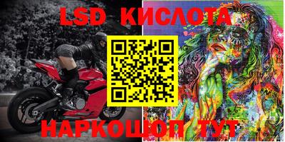 прущие грибы Канаш