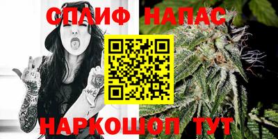 прущие грибы Канаш