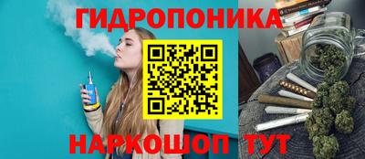 прущие грибы Канаш