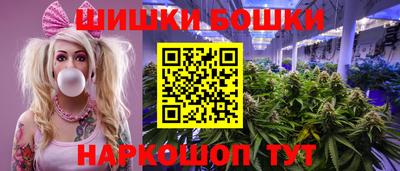 прущие грибы Канаш