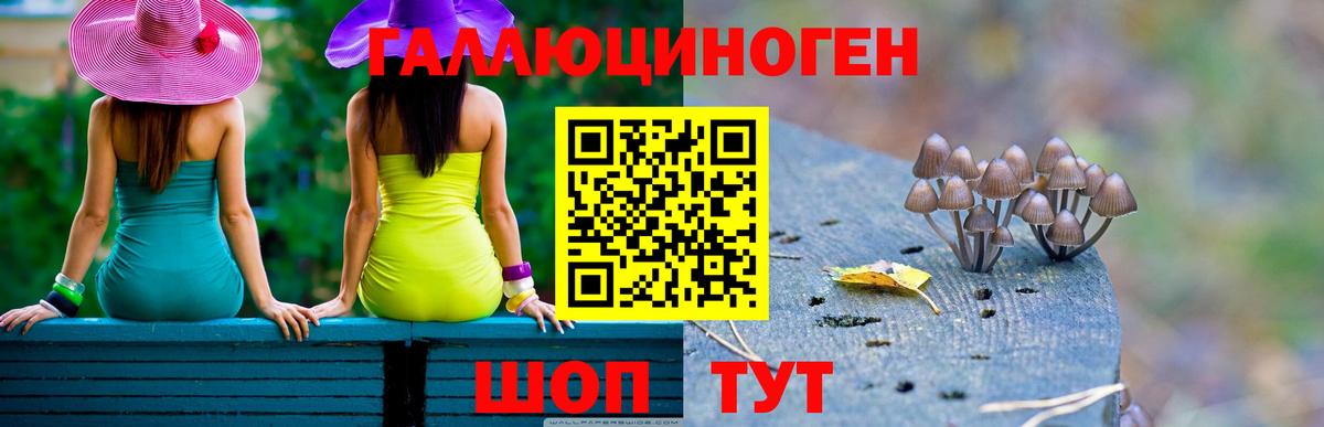 Красный Сулин  Галлюциногенные грибы GOLDEN TEACHER  Вход с VPN 